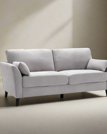 Damian Light Gray Velvet Fabric Sofa